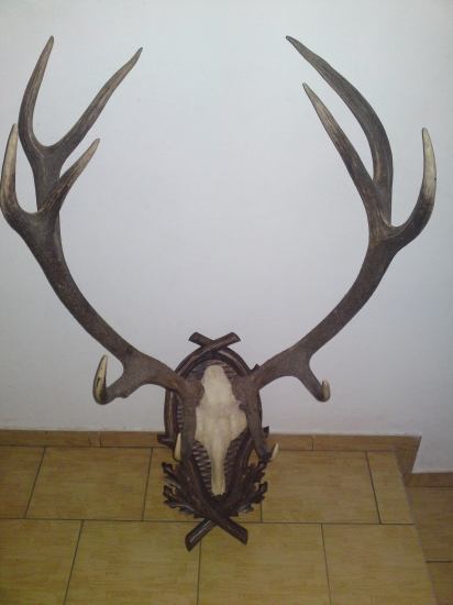 darcek k narodeninam.