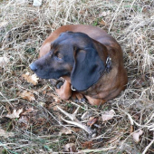 Erma se svým shozem