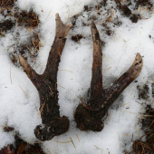 Nerovný šesterák od slaniska