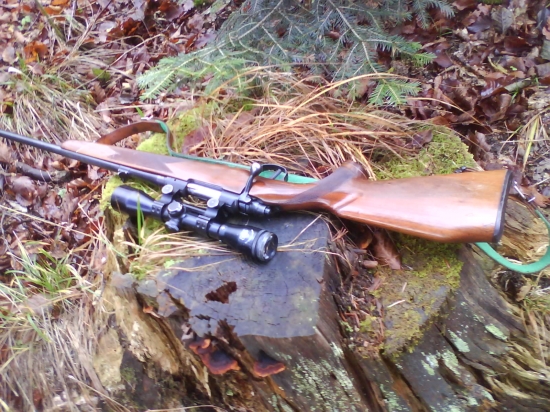 308W