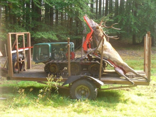 Druhá fotka do série