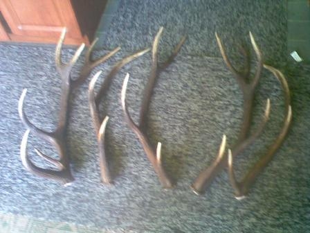 dvoj týždnová marcova prechazdka