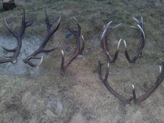 kamaratove tohto rocne stastie