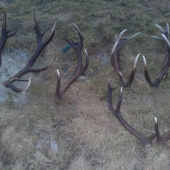 kamaratove tohto rocne stastie