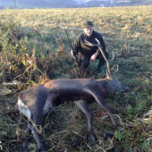 Krásne októbrové ráno