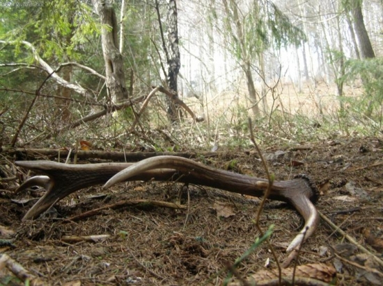 uz bolo na čase aby to dnes vyšlo!