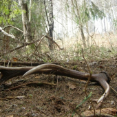 uz bolo na čase aby to dnes vyšlo!