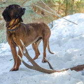 Pohľad nad všetky ostatné...