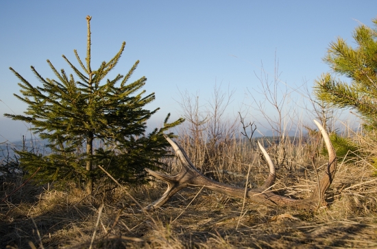 Keď človeka na horizonte niečo čaká... :D