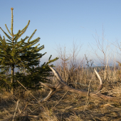 Keď človeka na horizonte niečo čaká... :D