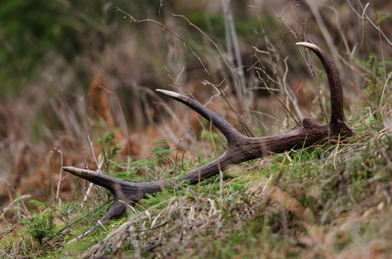 Dokonalý pohľad ...