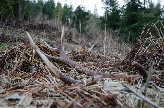 Takto si na mňa počkal