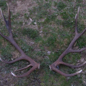 moja prva para,Aj vdaka pukymu:))