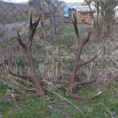 druhy pohlad(neprav.14 torak,194b cic)