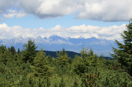 panorama