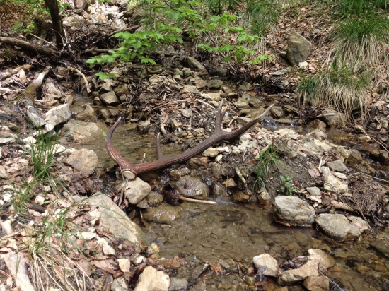 Ten stojaci este raz