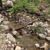 Ten stojaci este raz