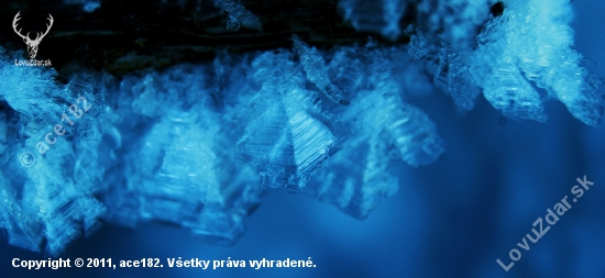 dielo matky prirody
