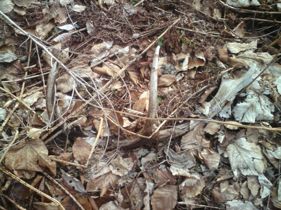 minulorocny 12-torak