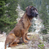 Zamyslený.