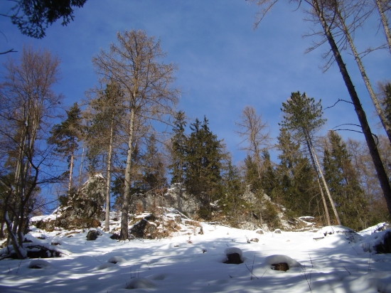 Skalné spoločenstvo.