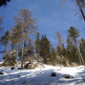 Skalné spoločenstvo.