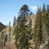 Pred skalnou stenou.