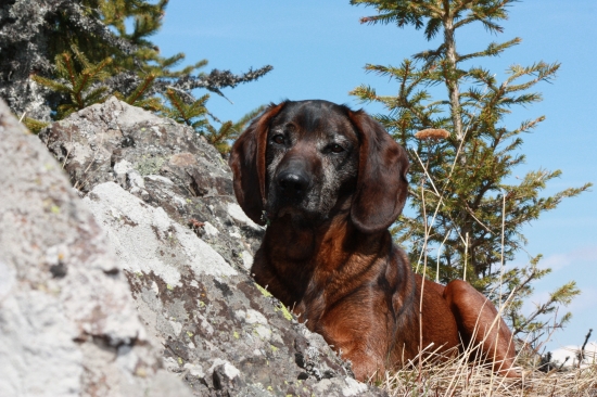 Na vyhriatom mieste.