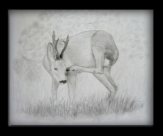 trosku sa treba ucesat..