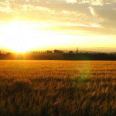 ..skore rano v malzeniciach..