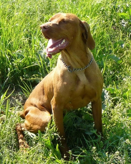 miskova dama Bara:o)