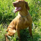 miskova dama Bara:o)