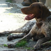 tento panko ukazoval v malzeniciach svoje polovnicke umenie