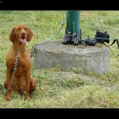 ..miskova strazkyna;)..