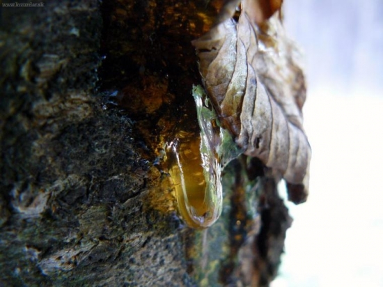 ..jantar v plienkach..:o)