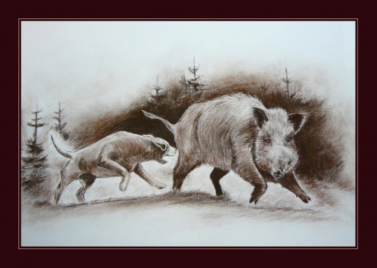 ..duric..alias..dvaja bojovnici