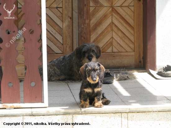 Shorty a Erko
