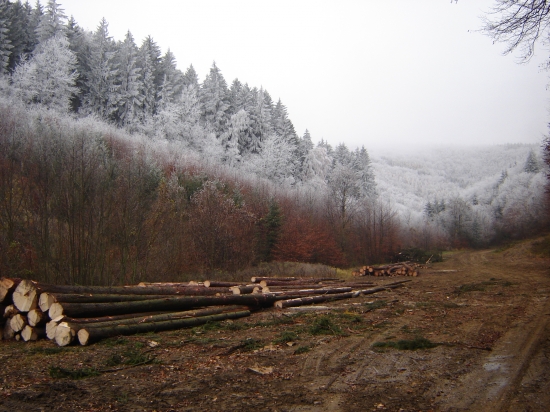 Keď sa zima hlási k slovu