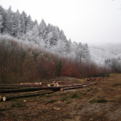 Keď sa zima hlási k slovu