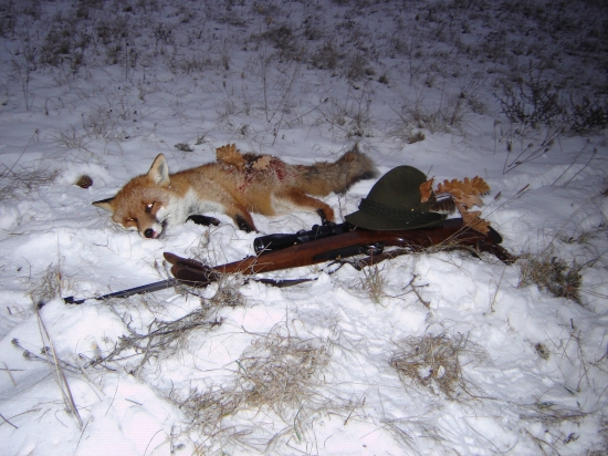 Predvianočný lišiak