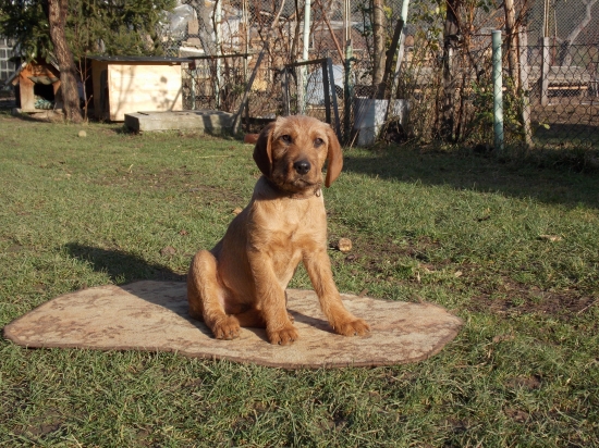 Môj krásavec spod Perhačky