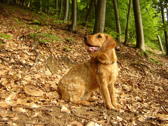 Budúci pán lesa....dúfajme :)