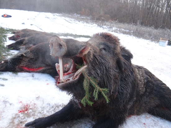Pán Hradeného dielu