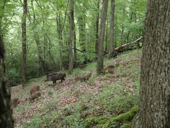Decká večerať, uja si nevšímajte