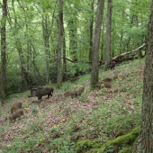 Decká večerať, uja si nevšímajte