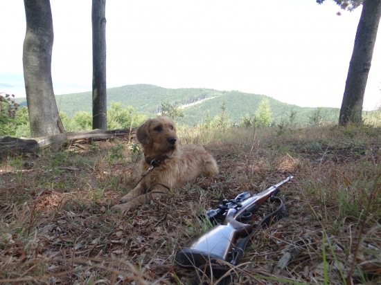 Prestávka na pracovisku