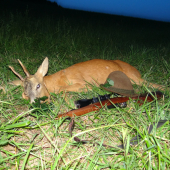 Rozlúčka so starým pánom