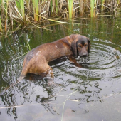 barny si uziva kupel