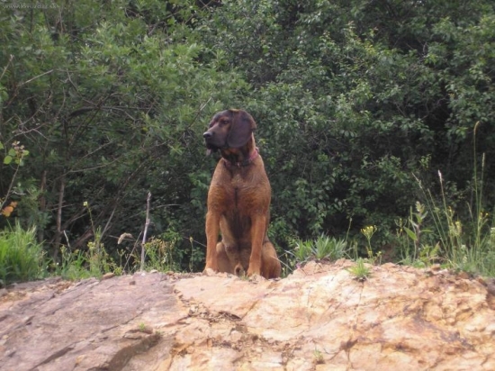 vsetko pod dohladom