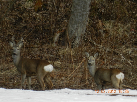 keď sme na seba pozerali...